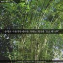 열정에기름붓기 이미지