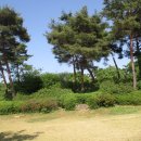 강청수변공원 이미지