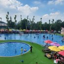 도그베이 이미지