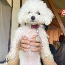 힐포인트 이미지