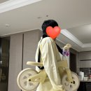 베베몽 | [내돈내산] 베베몽 밸런스 바이크 후기