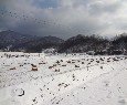 갑천면760 이미지