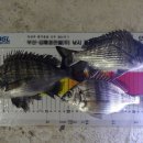 하유방파제 이미지