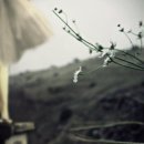 혜야