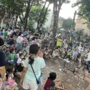 구심당약국 이미지