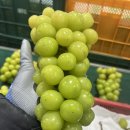 해찬농장 이미지