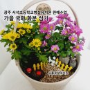 서석초등학교 병설유치원 이미지