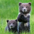 곰돌이PC방 이미지