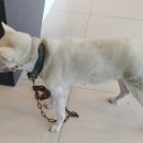 도란도란동물병원 이미지