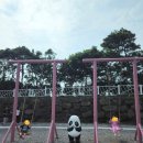 [소인국테마파크]통통열차 무료탑승 후기, 서귀포 아이와 갈만한 곳, 제주도 아이와 여행 코스