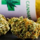 대마축산 이미지