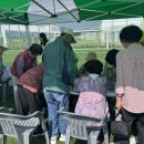 노인맞춤돌봄서비스 사회참여 &#34;치매 안심, 건강한 노후&#34;캠페인 진행 이미지