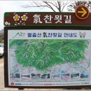 영암웰빙
