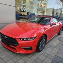 선인자동차(주)서초서비스센터 | 내돈내산 7세대 머스탱 찐 출고기 ^^(포드링컨딜러추천)