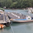 낚시배민박 이미지