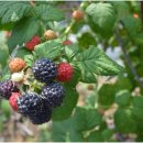 학산농장 이미지