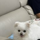 (주)다담 이미지