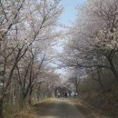 대금산진달래길(등산) 이미지