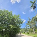 점섬체육관 | 끄라비 무에타이 체험 후기｜초보도 가능한 원데이 클래스