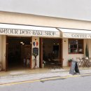 도그도그샵 이미지