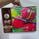 천지효소 | 국내산 꾸지뽕 진액 추천, 곰실푸드 꾸지뽕진액 1BOX 솔직 후기