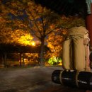 구송정 유원지 | 2016년 10월 10일 순창 구송정유원지 미니멀캠핑[헬스포츠 크루]