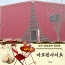 7547 | 내돈내산 대구 달성군 크리스마스 트리 있는 카페,사진 찍기 좋은 ‘마르텐사이트’ 후기