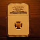 NGC 그레이딩 69등급 1센트 금화 (1/25 ounce gold 1-cent) 이미지