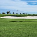 드림골프라운지 | [부산출발] 베트남 하이퐁 VIP 2색 골프 — 드래곤링크스 &amp; 루비트리 명품 코스 🏌️‍♂️