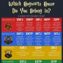 고양이 기숙사 이미지