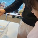 플레이브러리 네이버블로그