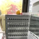 삼풍비디오 이미지