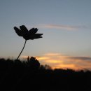 해은농장 이미지