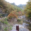 대전서부새마을금고산악회 주왕산 탐방 이미지