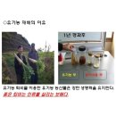 신향소목장 이미지