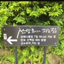 산당화가 피는집 이미지