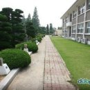 종정초등학교 이미지