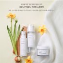 디렉터파이님이 추천한 요즘 뜨는 #착한 기능성 에센스 #테스트해봐요