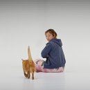 호리존 이미지