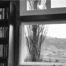 나무카페 이미지