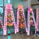 김선애뷰티