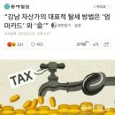 &#34;강남 자산가의 대표적 탈세 방법은 &#39;엄마카드&#39;와 금&#34; 이미지