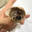 삼산목장 | 상하목장 아이스크림이 맛있는 굴포천역 카페 : 쿠크봉 부평삼산점