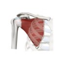 늘품애한의원 이미지