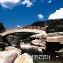 천동오토캠핑장(상) 이미지