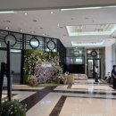 [웨딩홀] 명동 라루체 루아르홀 후기(계약O)