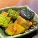 치빗코 | [치빗코]삼각지 혼술 제격 이자카야 내돈내산 후기(메뉴,잔술)