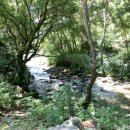 덕동하늘숲펜션 이미지