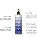 웰킨송파문정점