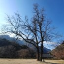 괴산여행